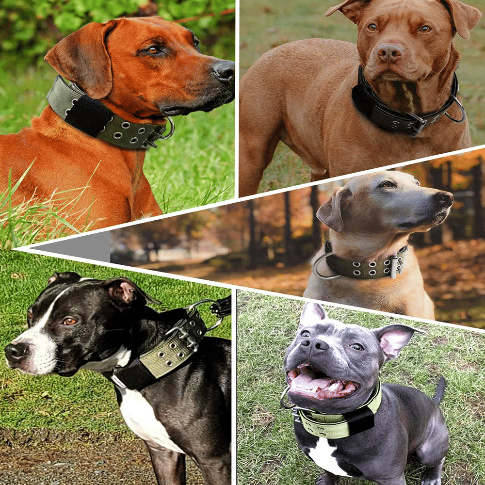 553586981